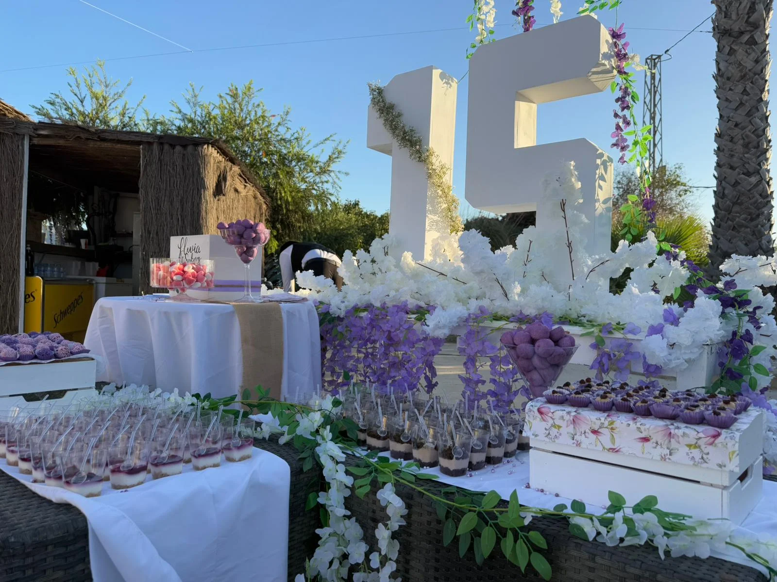 Decoración de cumpleaños y eventos de quince años